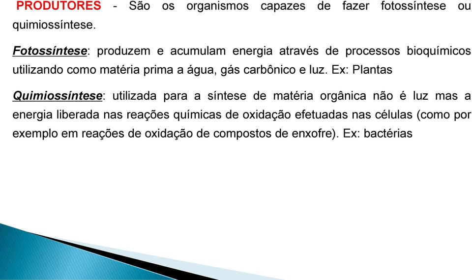 Fotossíntese: produzem e acumulam energia através de processos bioquímicos utilizando como matéria prima a água, gás carbônico e