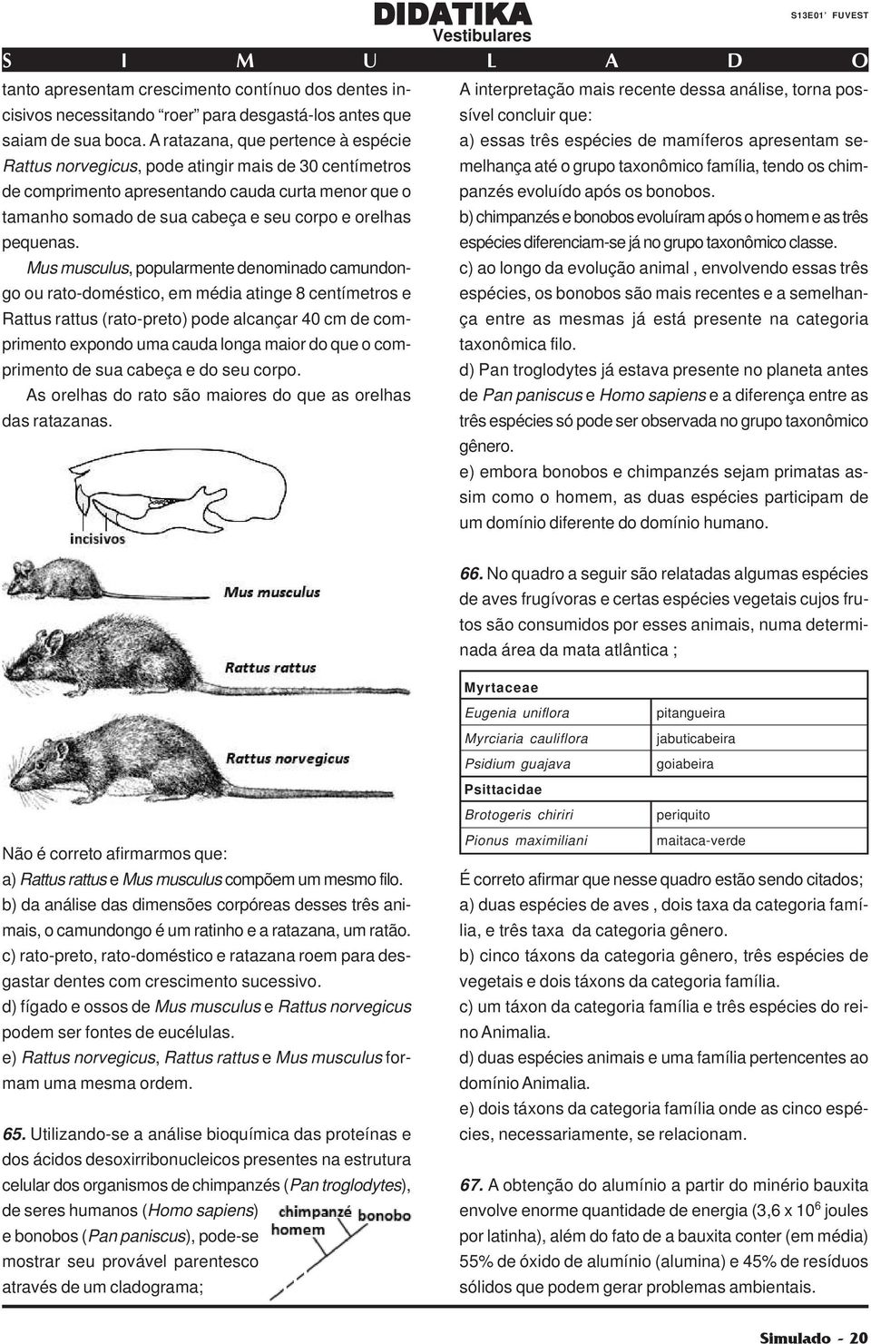 A ratazana, que pertence à espécie a) essas três espécies de mamíferos apresentam semelhança até o grupo taxonômico família, tendo os chim- Rattus norvegicus, pode atingir mais de 30 centímetros de