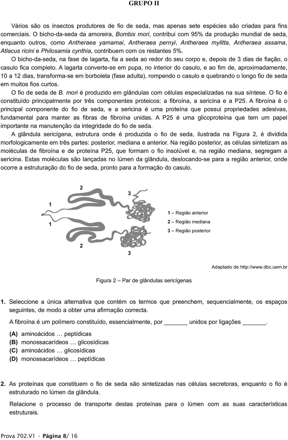 e Philosamia cynthia, contribuem com os restantes 5%. O bicho-da-seda, na fase de lagarta, fia a seda ao redor do seu corpo e, depois de 3 dias de fiação, o casulo fica completo.