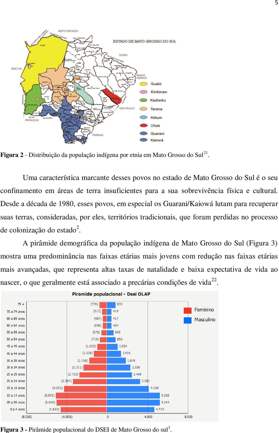 Desde a década de 1980, esses povos, em especial os Guarani/Kaiowá lutam para recuperar suas terras, consideradas, por eles, territórios tradicionais, que foram perdidas no processo de colonização do