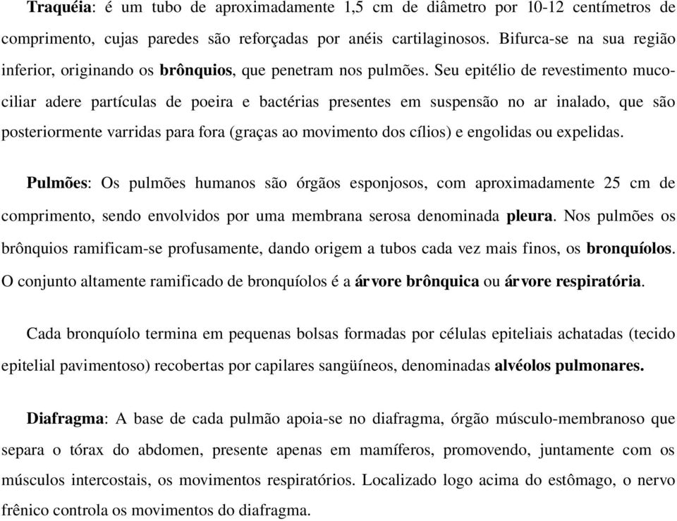 Seu epitélio de revestimento mucociliar adere partículas de poeira e bactérias presentes em suspensão no ar inalado, que são posteriormente varridas para fora (graças ao movimento dos cílios) e