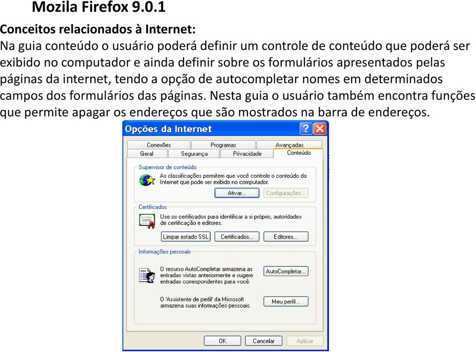 poderá ser exibido no computador e ainda definir sobre os formulários apresentados pelas páginas da internet,