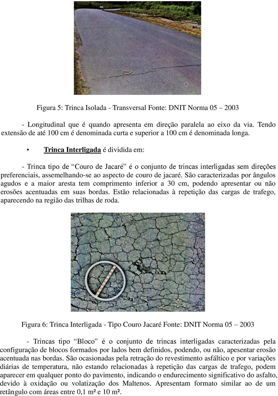 Trinca Interligada é dividida em: - Trinca tipo de Couro de Jacaré é o conjunto de trincas interligadas sem direções preferenciais, assemelhando-se ao aspecto de couro de jacaré.