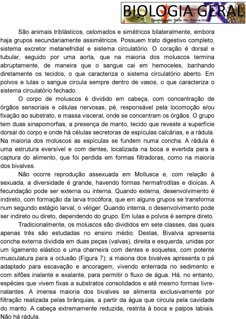 O coração é dorsal e tubular, seguido por uma aorta, que na maioria dos moluscos termina abruptamente, de maneira que o sangue cai em hemoceles, banhando diretamente os tecidos, o que caracteriza o