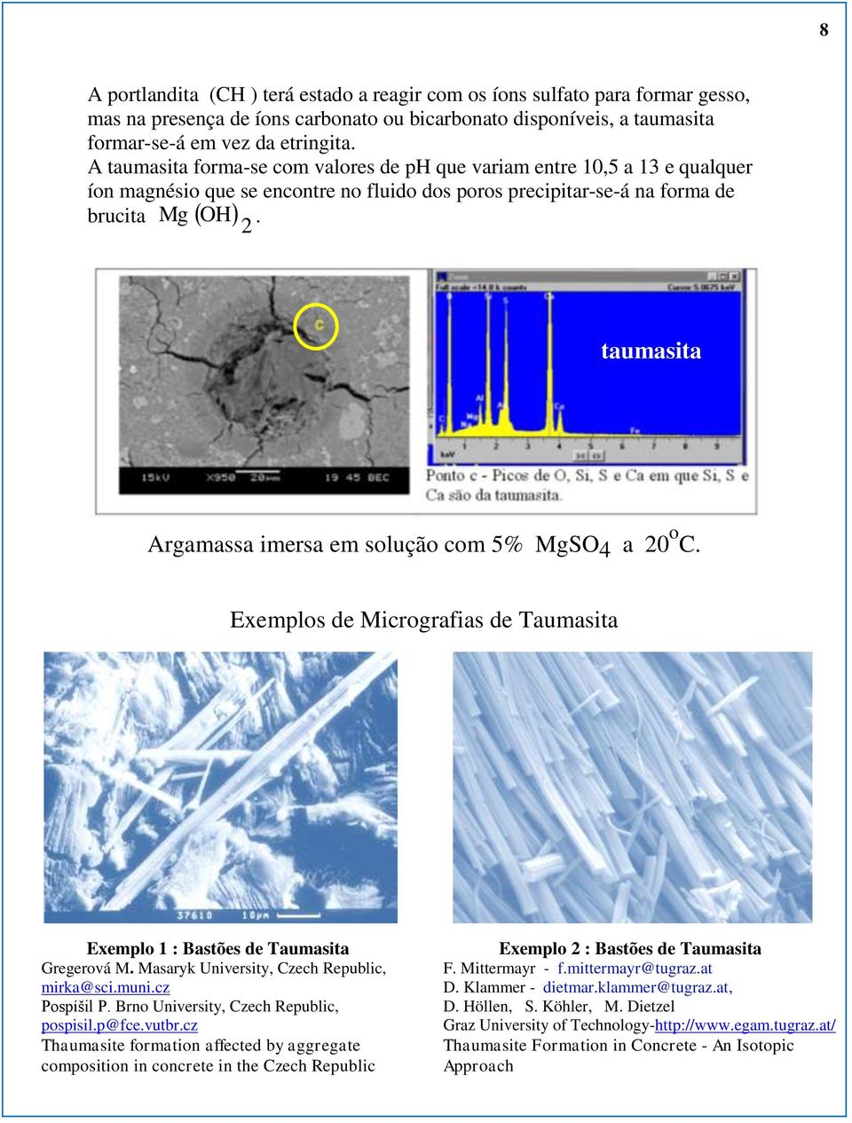 brucita 2 taumasita Argamassa imersa em solução com 5% MgSO 4 a 20 o C. Exemplos de Micrografias de Taumasita Exemplo 1 : Bastões de Taumasita Gregerová M.
