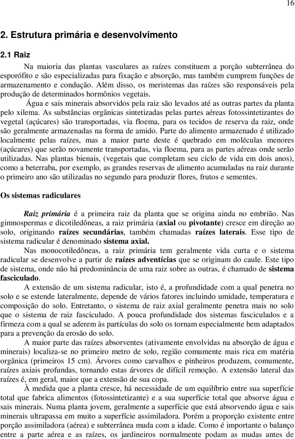 Além disso, os meristemas das raízes são responsáveis pela produção de determinados hormônios vegetais.