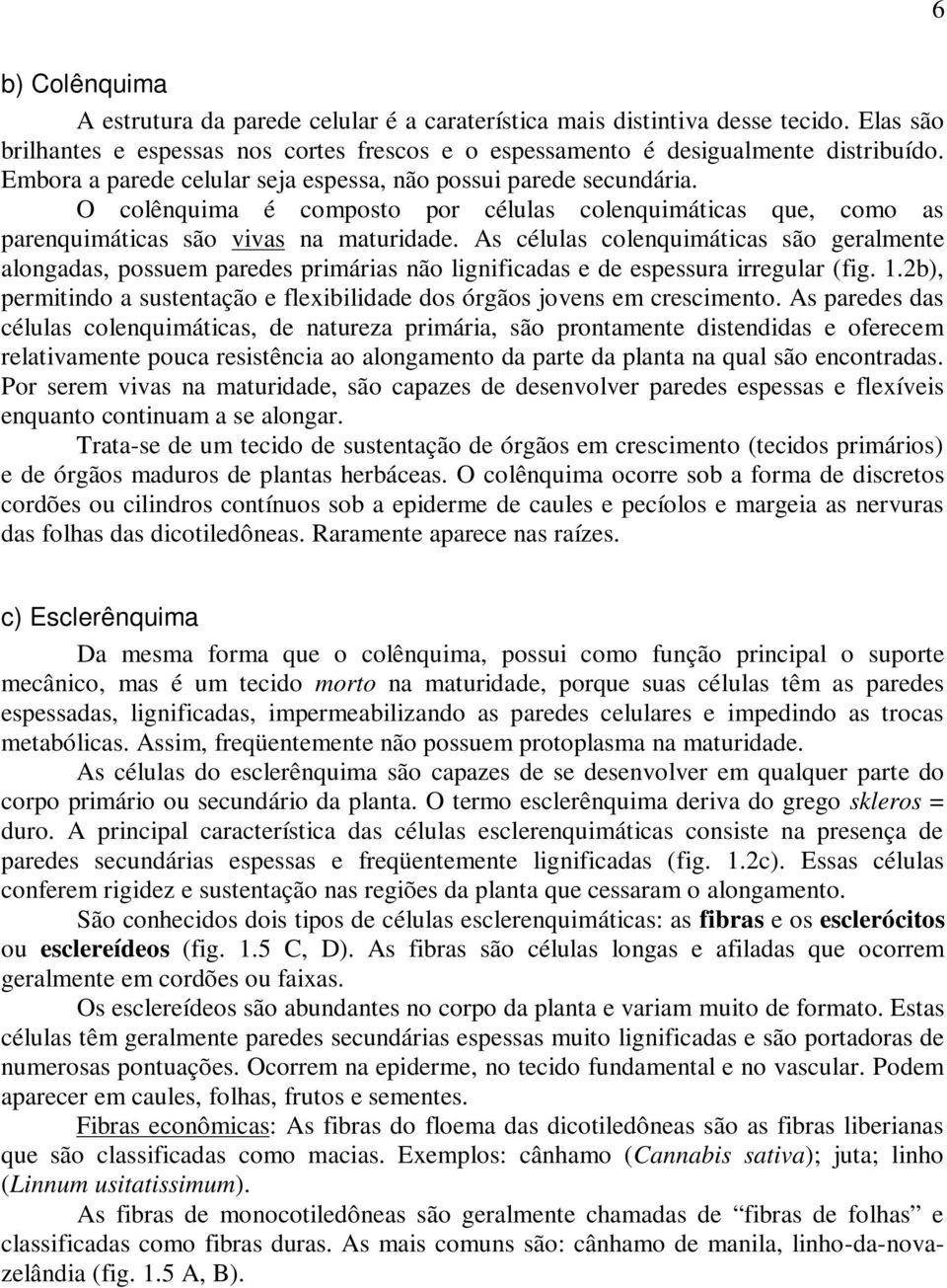 As células colenquimáticas são geralmente alongadas, possuem paredes primárias não lignificadas e de espessura irregular (fig. 1.