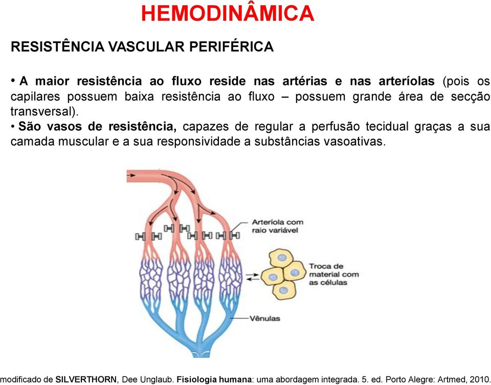 São vasos de resistência, capazes de regular a perfusão tecidual graças a sua camada muscular e a sua responsividade