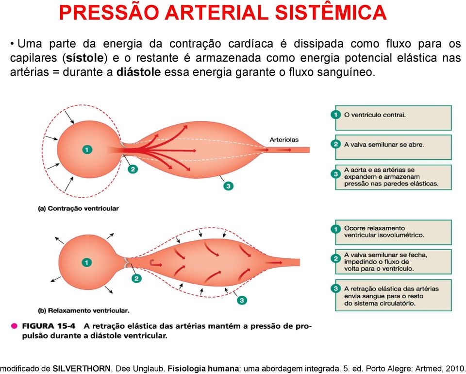 artérias = durante a diástole essa energia garante o fluxo sanguíneo.