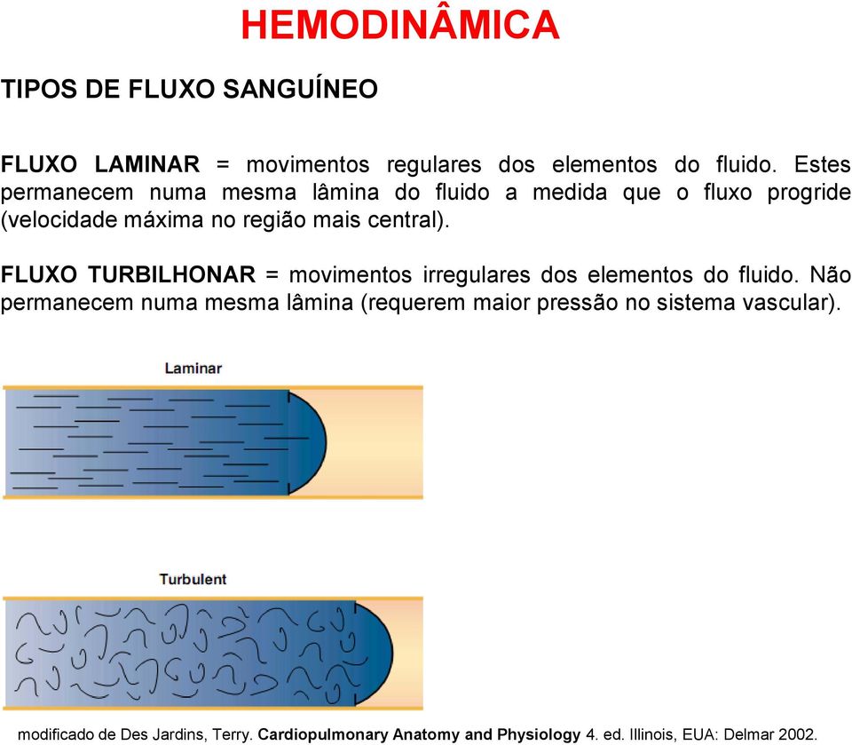 FLUXO TURBILHONAR = movimentos irregulares dos elementos do fluido.