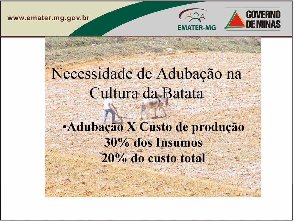 X Custo de produção 30%