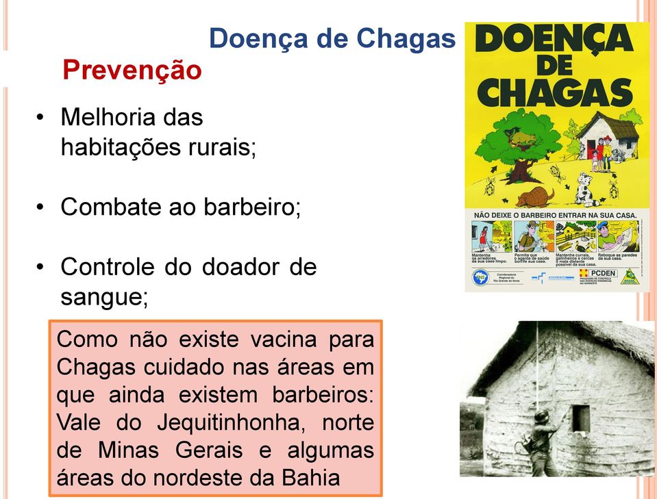 vacina para Chagas cuidado nas áreas em que ainda existem barbeiros: