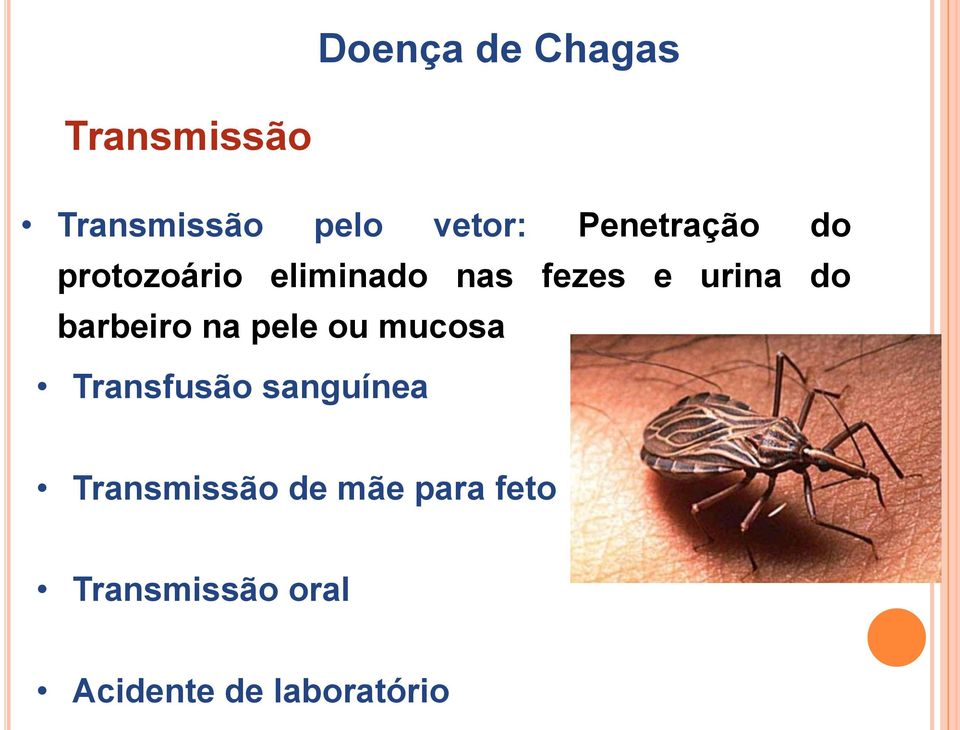 barbeiro na pele ou mucosa Transfusão sanguínea