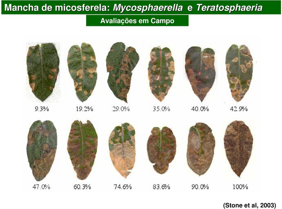 Teratosphaeria