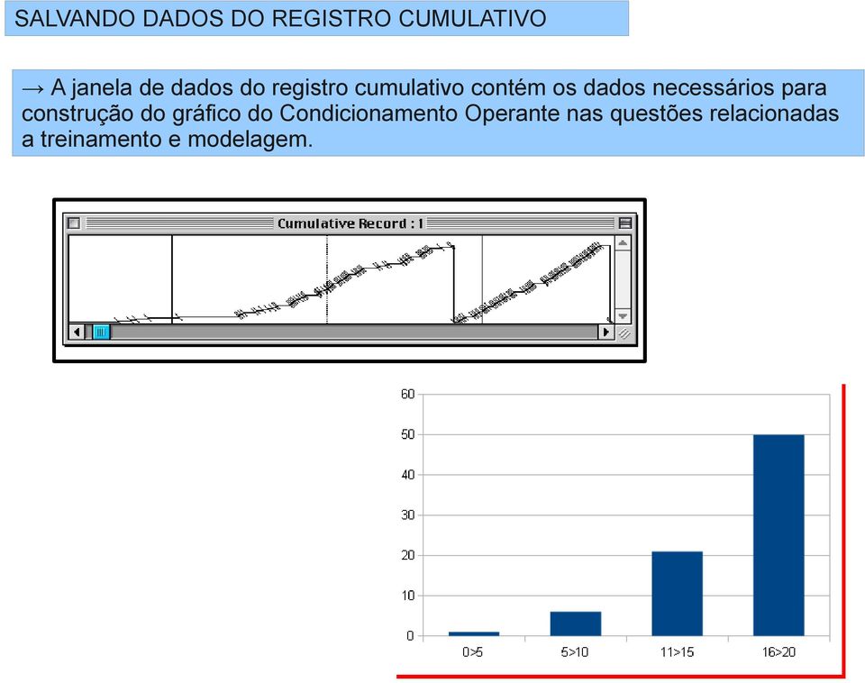 necessários para construção do gráfico do