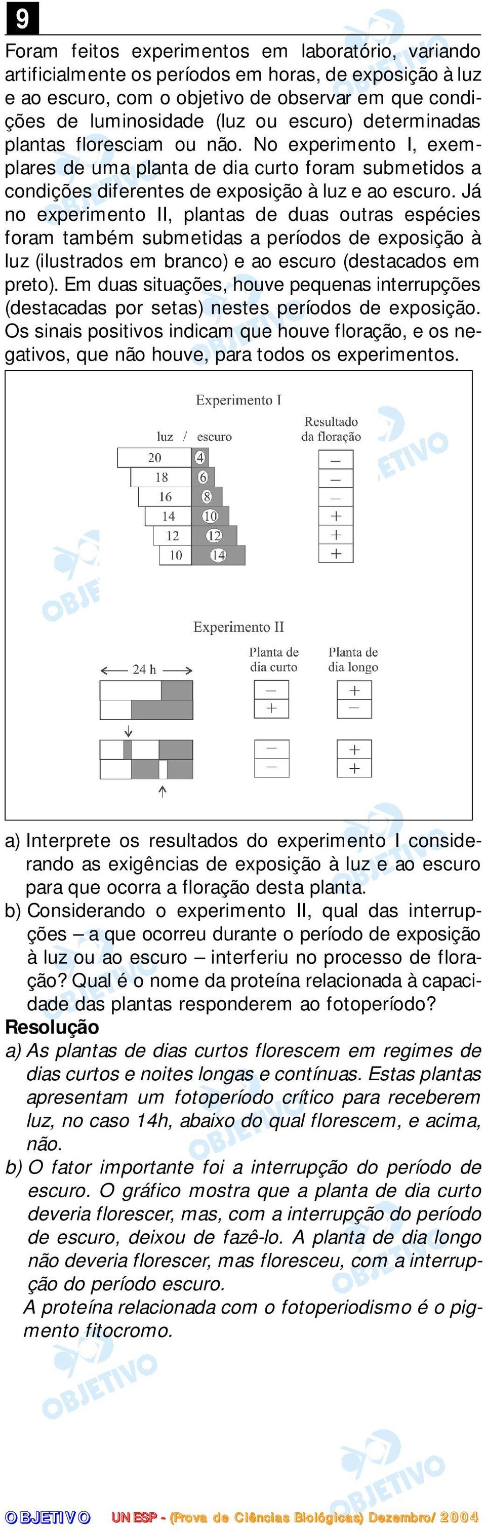 Já no experimento II, plantas de duas outras espécies foram também submetidas a períodos de exposição à luz (ilustrados em branco) e ao escuro (destacados em preto).