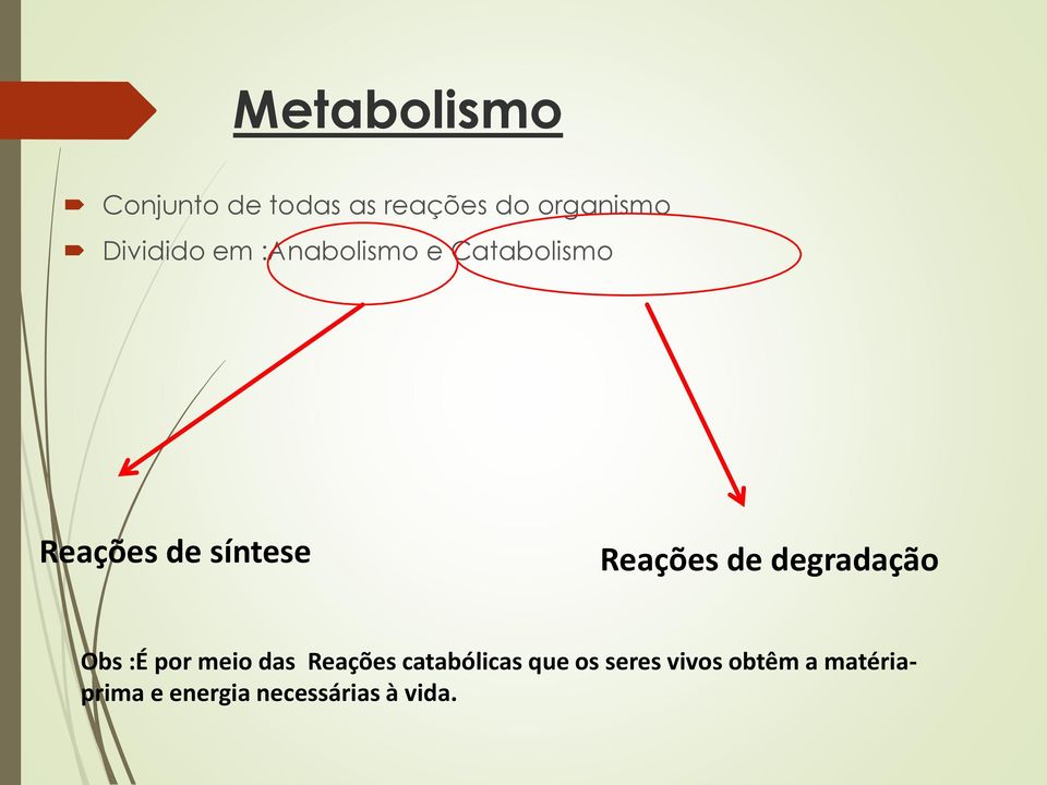 Reações de degradação Obs :É por meio das Reações