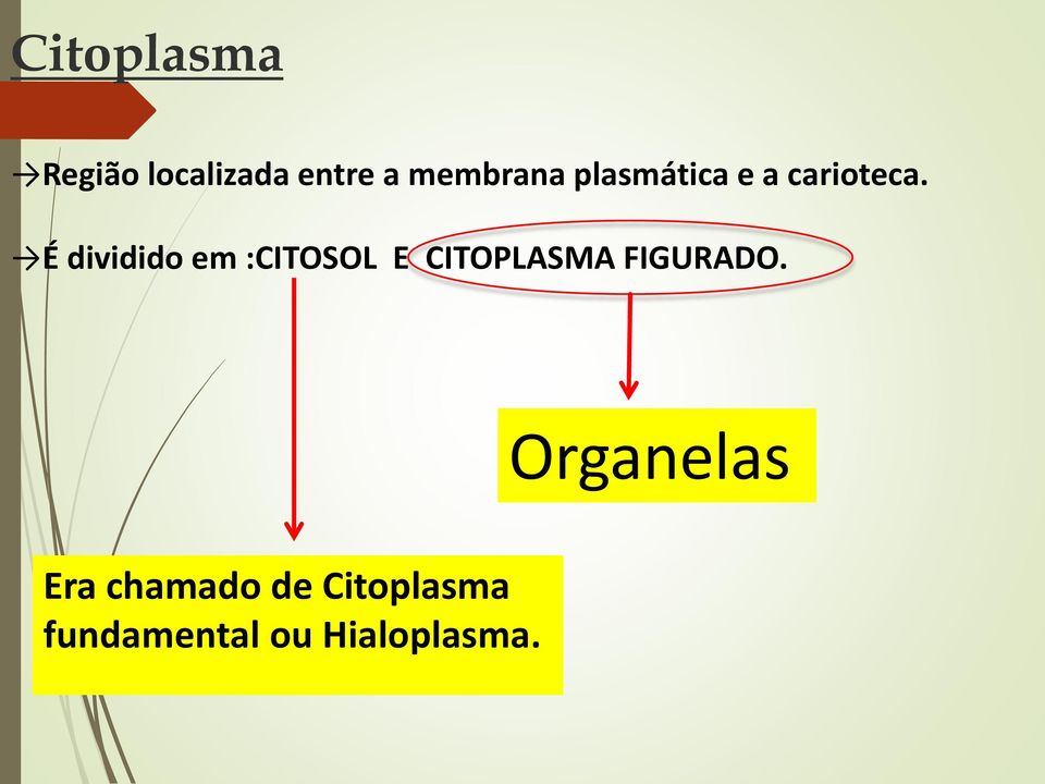 É dividido em :CITOSOL E CITOPLASMA FIGURADO.