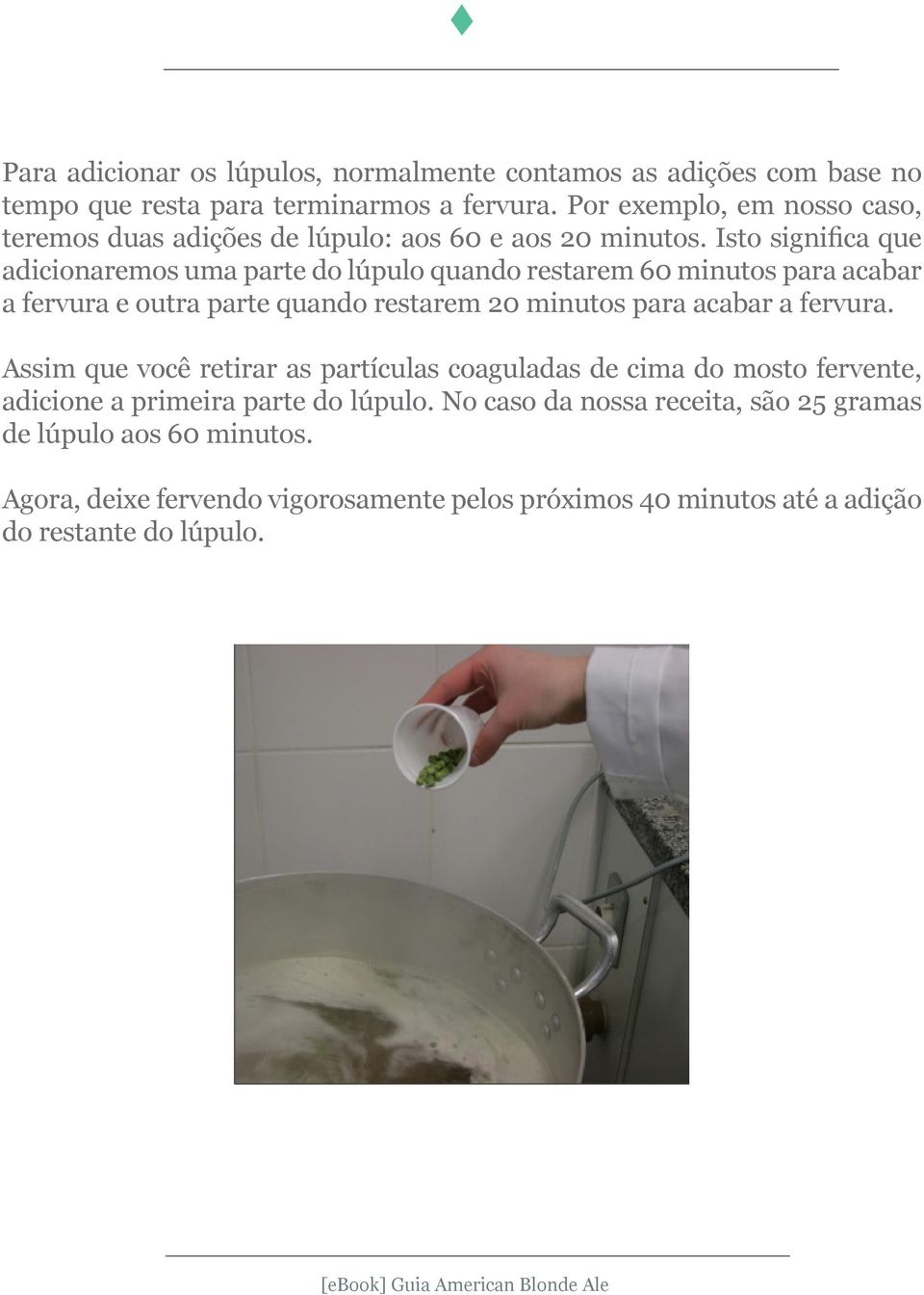 Isto significa que adicionaremos uma parte do lúpulo quando restarem 60 minutos para acabar a fervura e outra parte quando restarem 20 minutos para acabar a