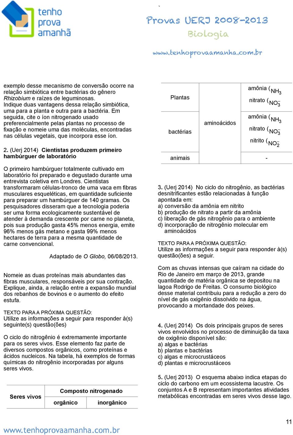 Em seguida, cite o íon nitrogenado usado preferencialmente pelas plantas no processo de fixação e nomeie uma das moléculas, encontradas nas células vegetais, que incorpora esse íon. 2.