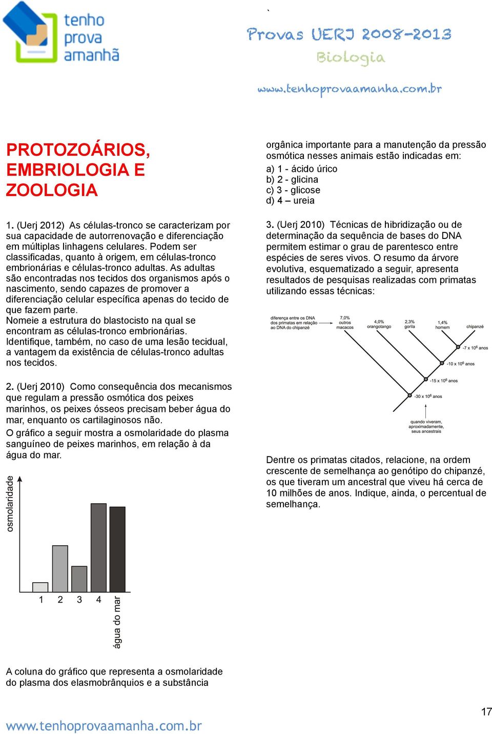 As adultas são encontradas nos tecidos dos organismos após o nascimento, sendo capazes de promover a diferenciação celular específica apenas do tecido de que fazem parte.