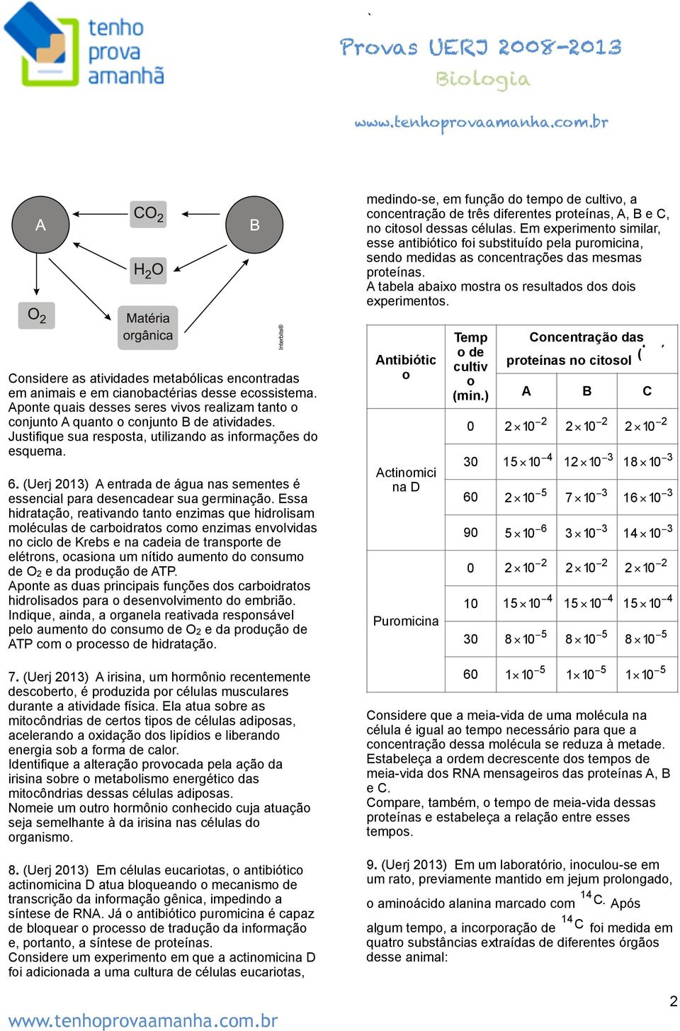 Essa hidratação, reativando tanto enzimas que hidrolisam moléculas de carboidratos como enzimas envolvidas no ciclo de Krebs e na cadeia de transporte de elétrons, ocasiona um nítido aumento do