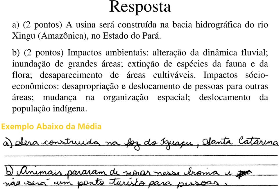 de espécies da fauna e da flora; desaparecimento de áreas cultiváveis.