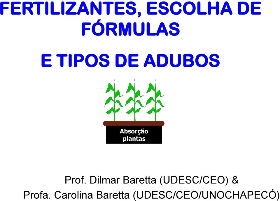 Dilmar Baretta (UDESC/CEO) & Profa.