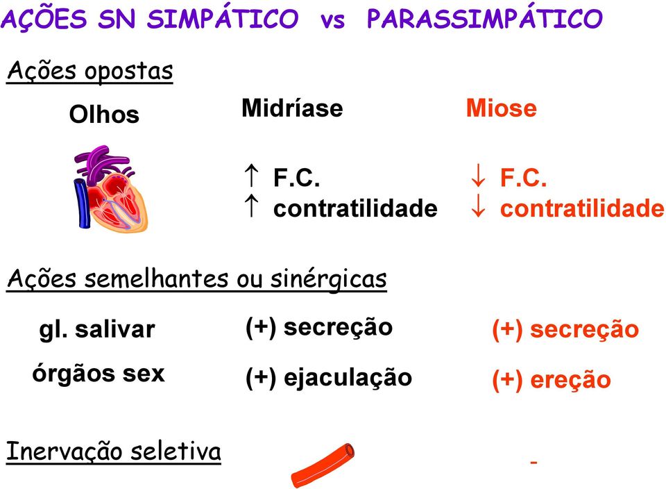 contratilidade Miose F.C.