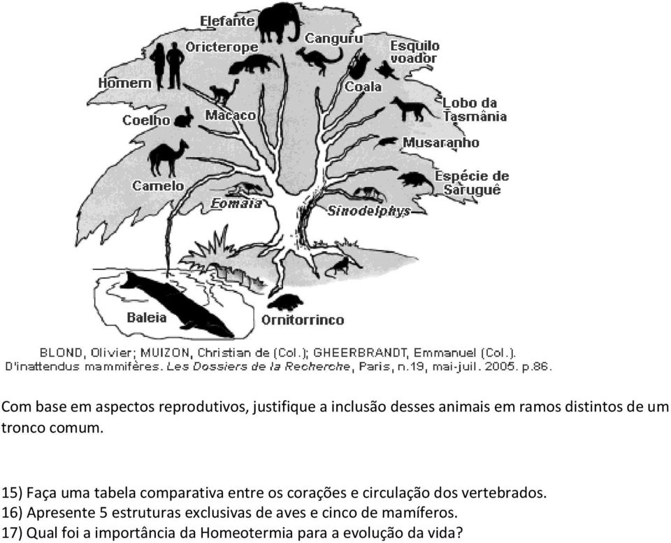 15) Faça uma tabela comparativa entre os corações e circulação dos vertebrados.