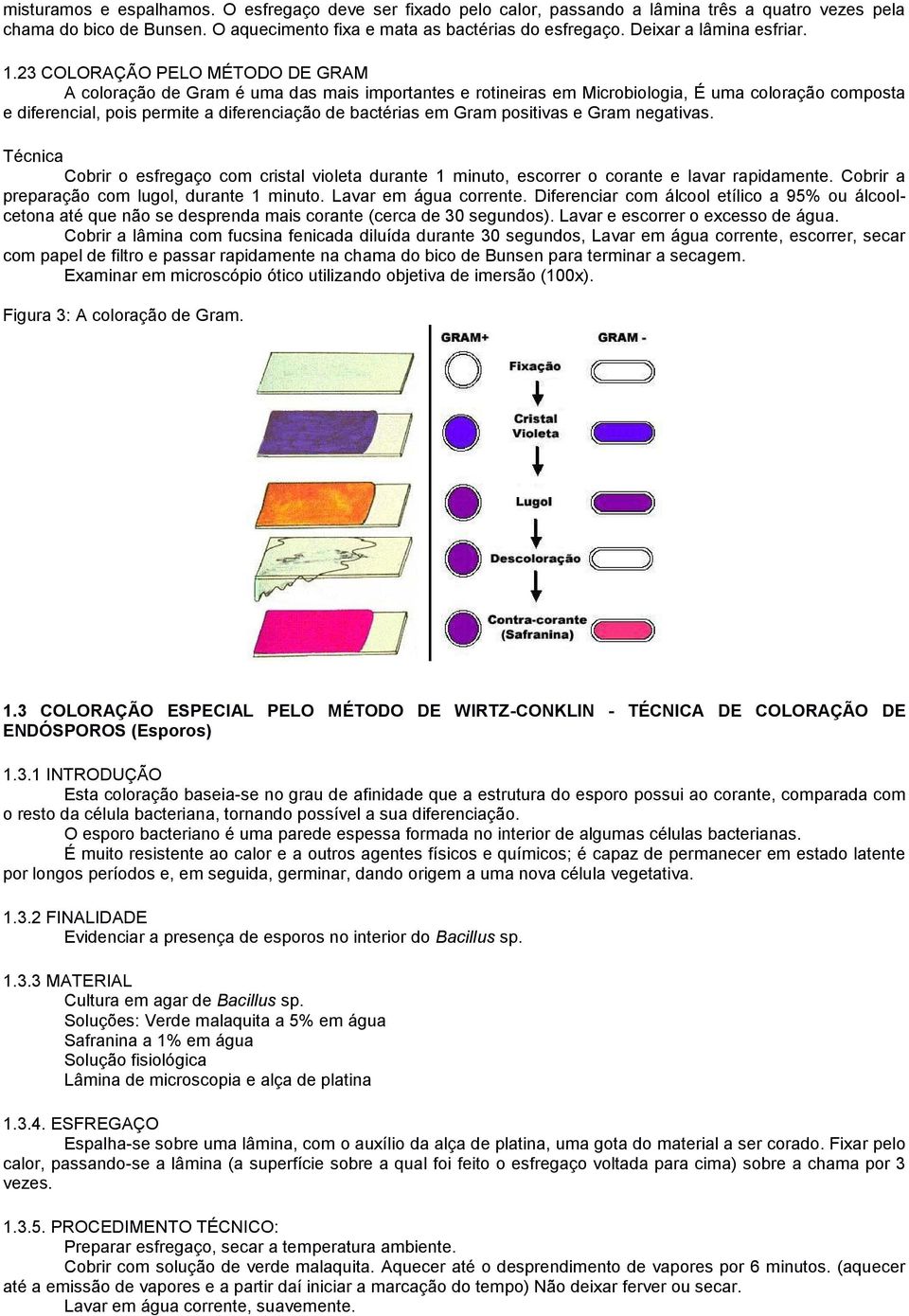 23 COLORAÇÃO PELO MÉTODO DE GRAM A coloração de Gram é uma das mais importantes e rotineiras em Microbiologia, É uma coloração composta e diferencial, pois permite a diferenciação de bactérias em