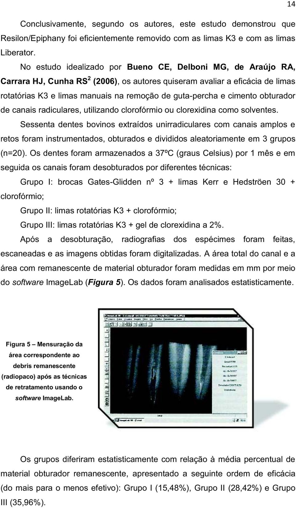 cimento obturador de canais radiculares, utilizando clorofórmio ou clorexidina como solventes.