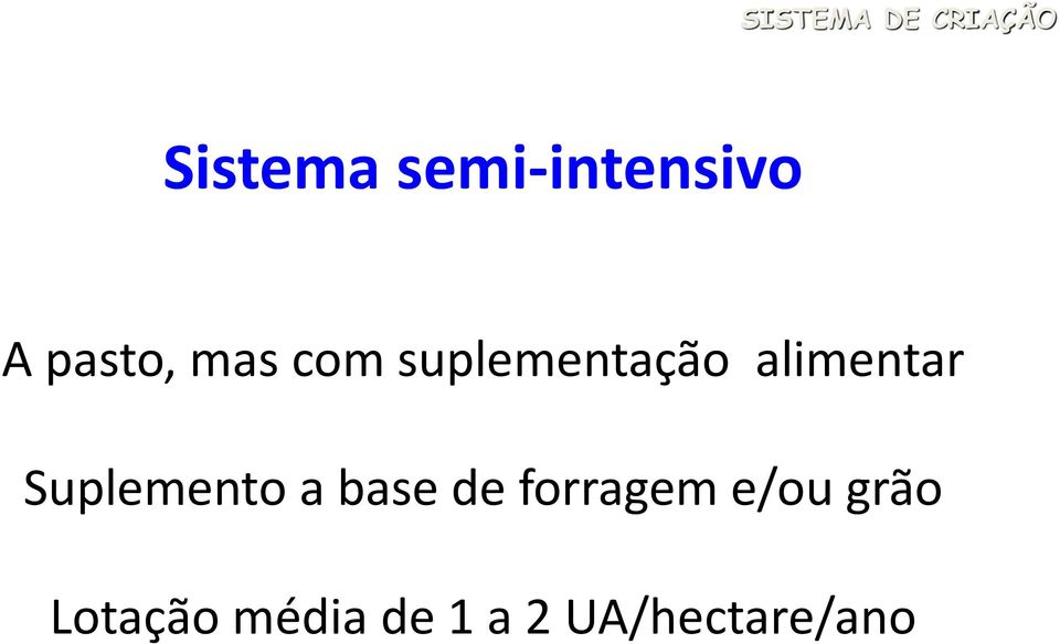 suplementação alimentar Suplemento a