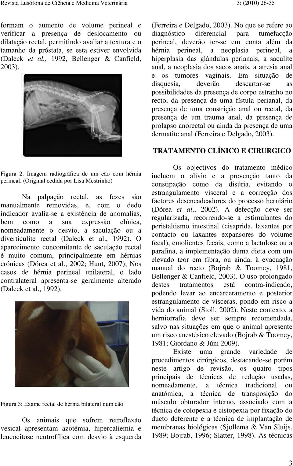 No que se refere ao diagnóstico diferencial para tumefacção perineal, deverão ter-se em conta além da hérnia perineal, a neoplasia perineal, a hiperplasia das glândulas perianais, a saculite anal, a