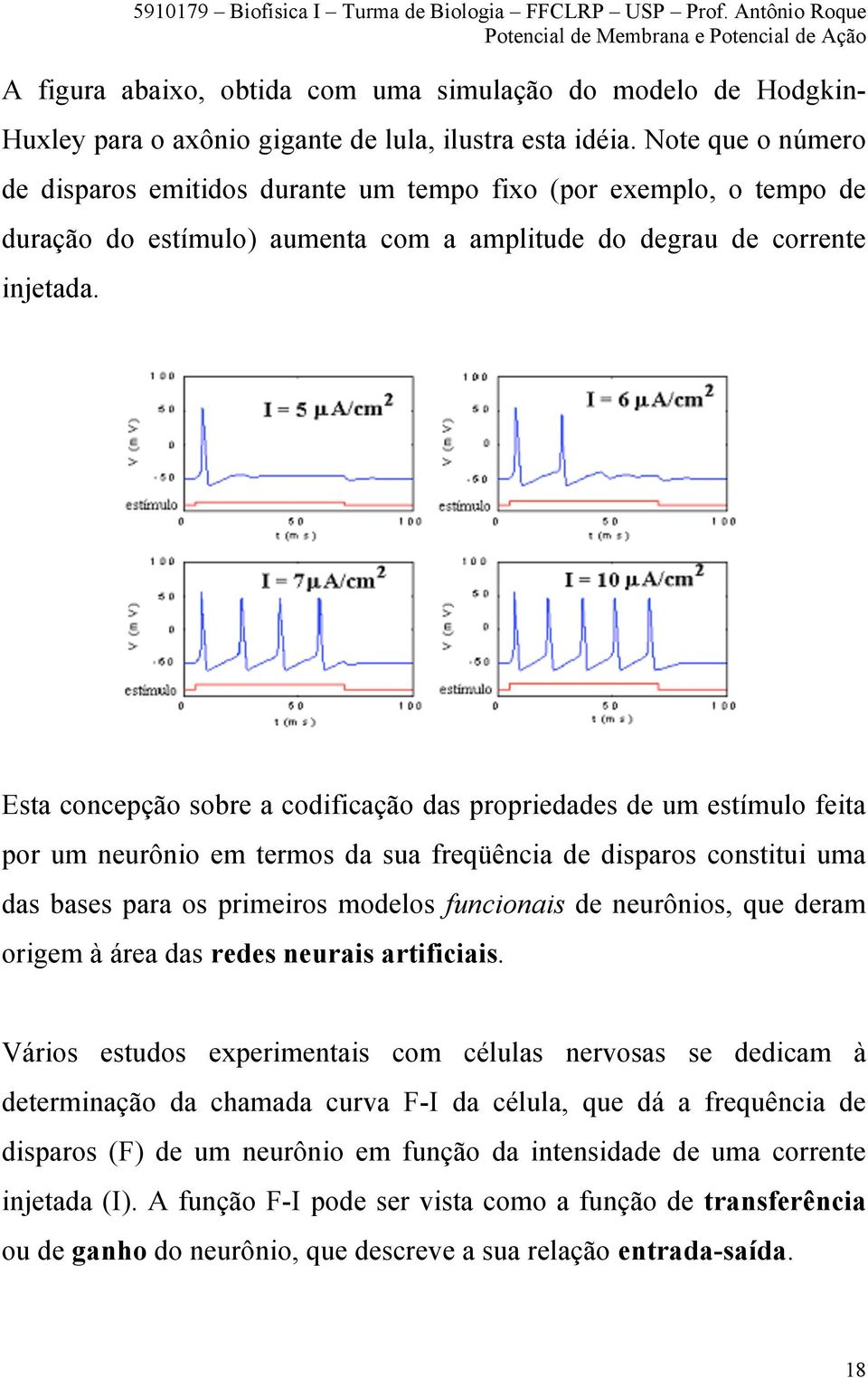 Esta concepção sobre a codificação das propriedades de um estímulo feita por um neurônio em termos da sua freqüência de disparos constitui uma das bases para os primeiros modelos funcionais de