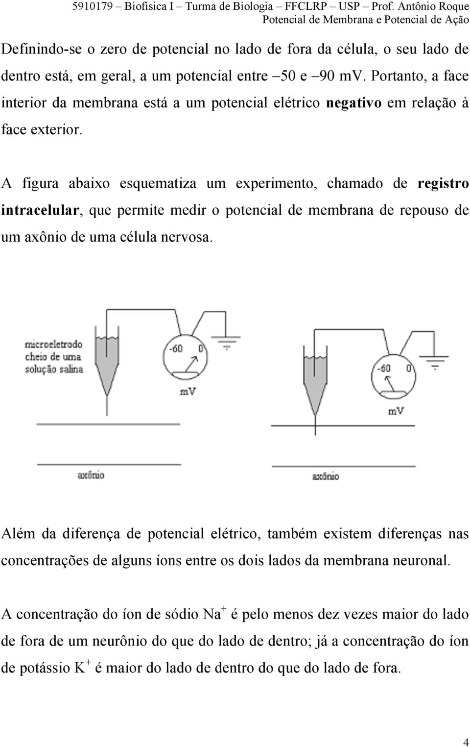 A figura abaixo esquematiza um experimento, chamado de registro intracelular, que permite medir o potencial de membrana de repouso de um axônio de uma célula nervosa.