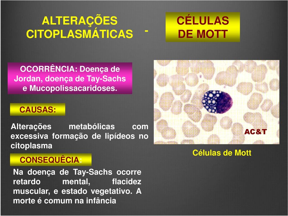 CAUSAS: Alterações metabólicas com excessiva formação de lipídeos no citoplasma