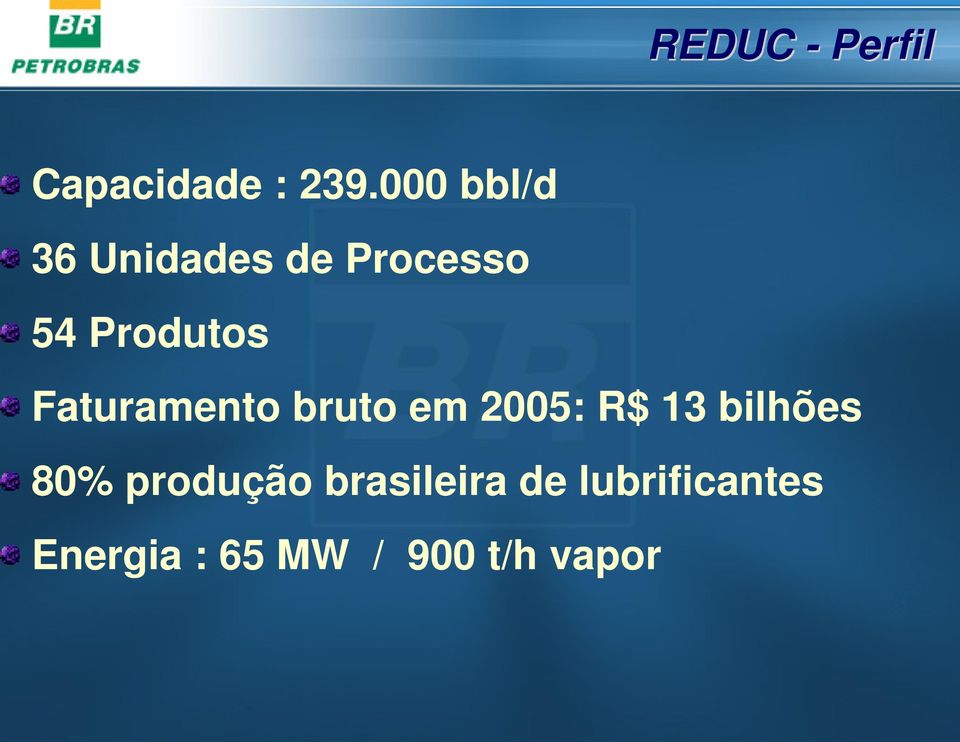 Faturamento bruto em 2005: R$ 13 bilhões 80%