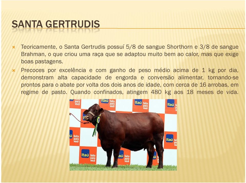 Precoces por excelência e com ganho de peso médio acima de 1 kg por dia, demonstram alta capacidade de engorda e conversão