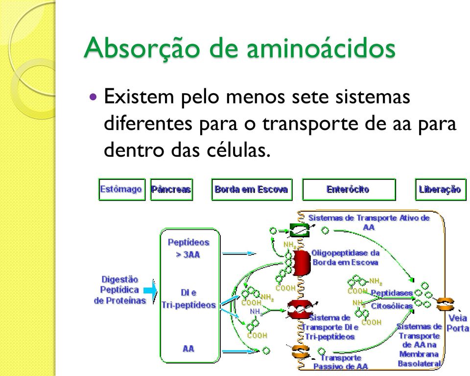 sistemas diferentes para o