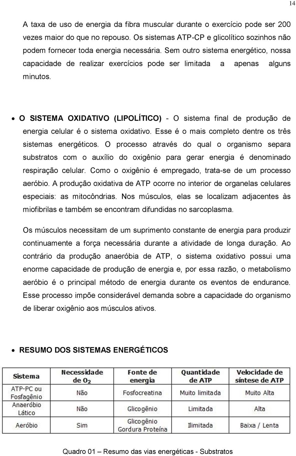 O SISTEMA OXIDATIVO (LIPOLÍTICO) - O sistema final de produção de energia celular é o sistema oxidativo. Esse é o mais completo dentre os três sistemas energéticos.