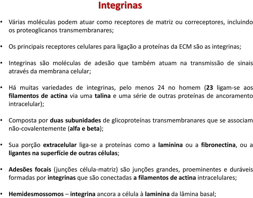 aos filamentos de actina via uma talina e uma série de outras proteínas de ancoramento intracelular); Composta por duas subunidades de glicoproteínas transmembranares que se associam