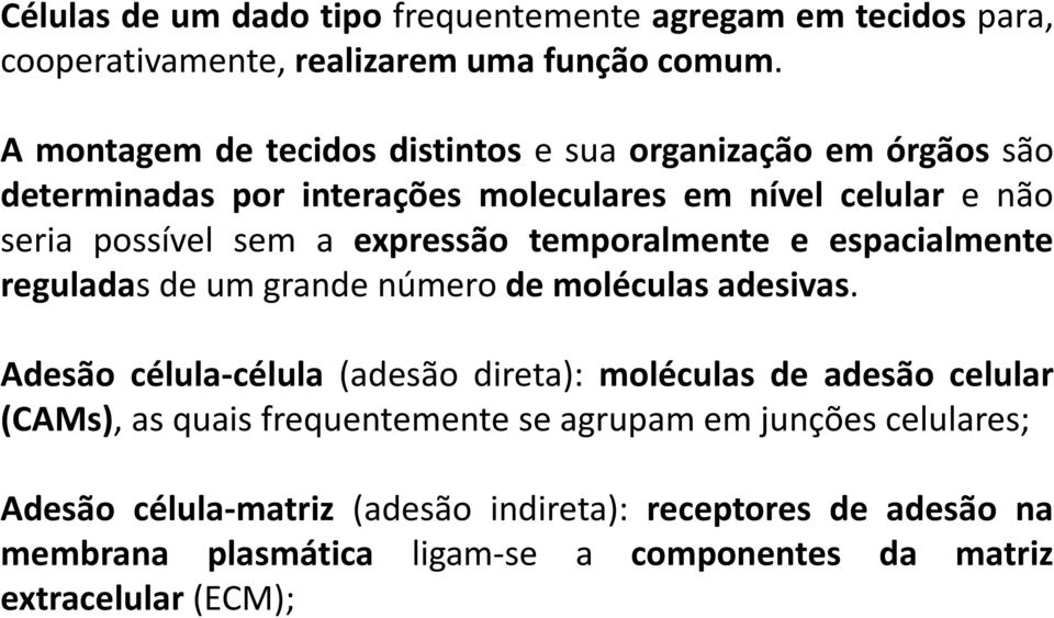 expressão temporalmente e espacialmente reguladas de um grande número de moléculas adesivas.