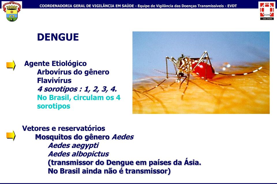 No Brasil, circulam os 4 sorotipos Vetores e reservatórios Mosquitos