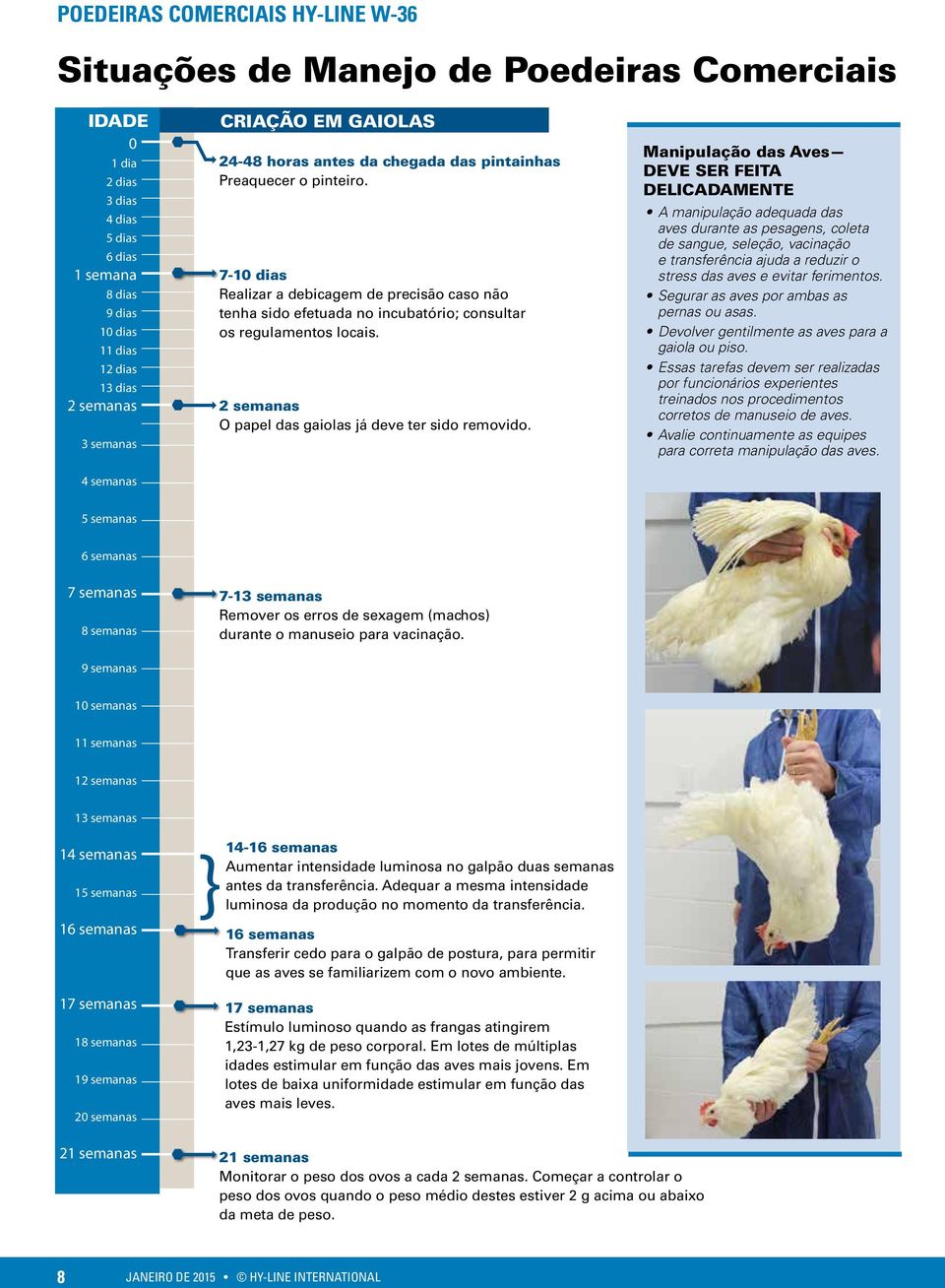 2 semanas O papel das gaiolas já deve ter sido removido.