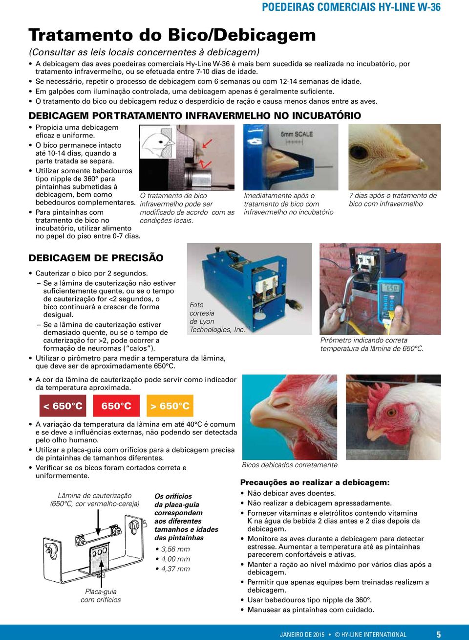 Em galpões com iluminação controlada, uma debicagem apenas é geralmente suficiente. O tratamento do bico ou debicagem reduz o desperdício de ração e causa menos danos entre as aves.