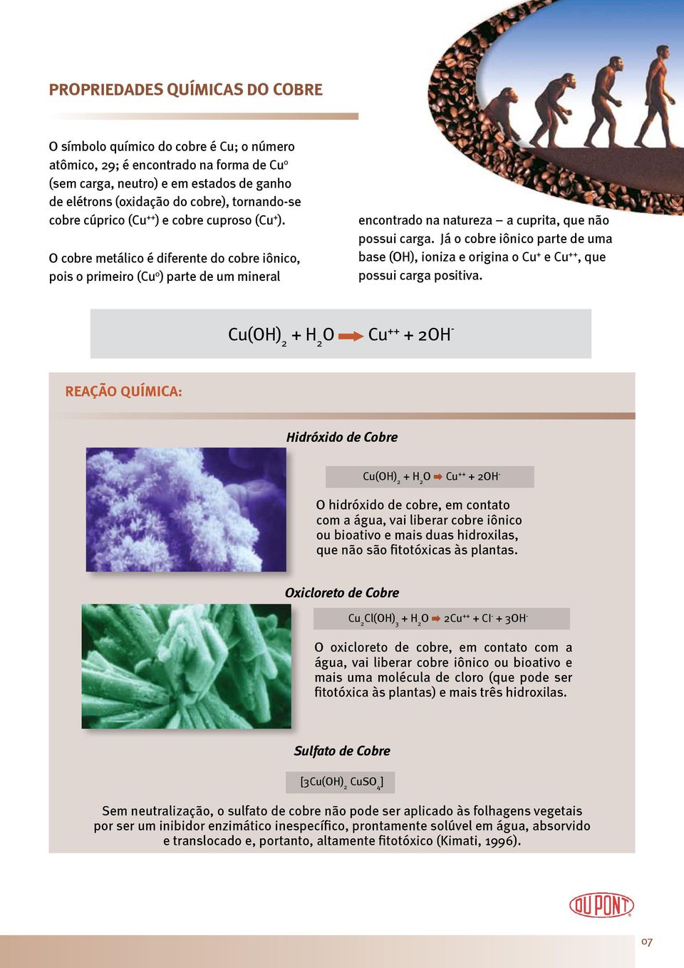 O cobre metálico é diferente do cobre iônico, pois o primeiro (Cu 0 ) parte de um mineral encontrado na natureza a cuprita, que não possui carga.