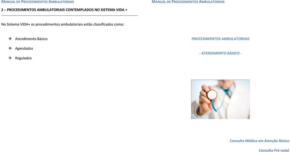 como: Atendimento Básico Agendados Regulados PROCEDIMENTOS