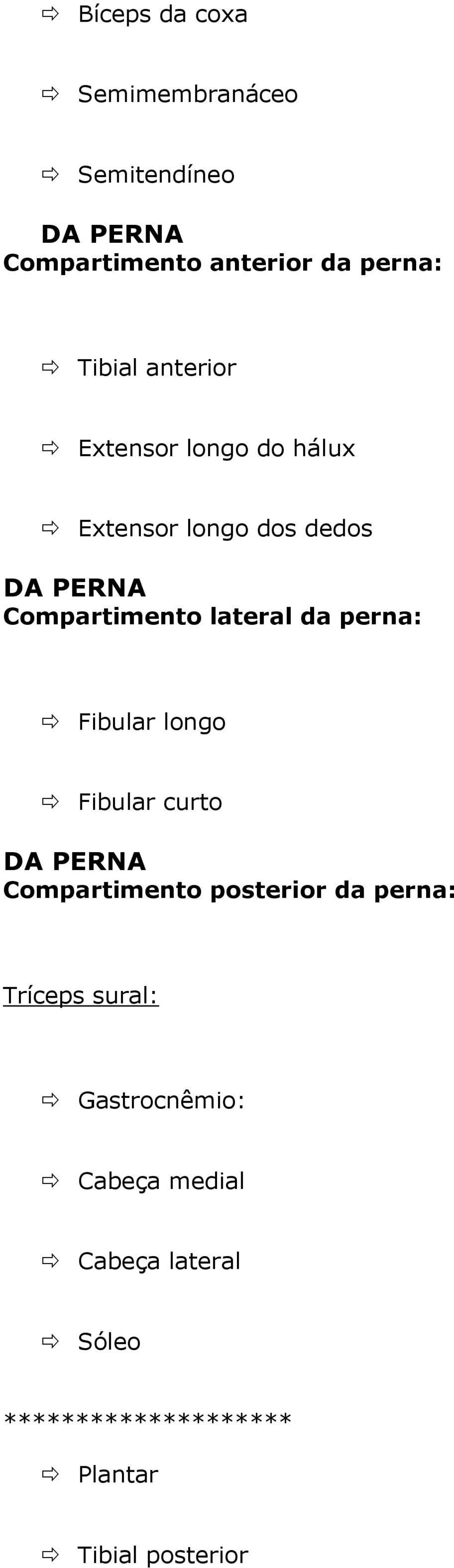 perna: Fibular longo Fibular curto DA PERNA Compartimento posterior da perna: Tríceps sural: