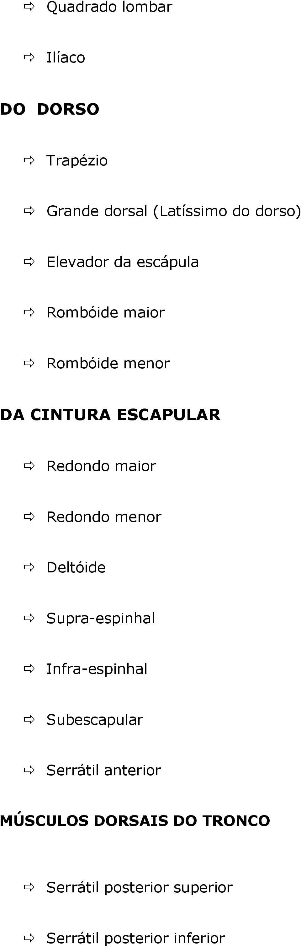 maior Redondo menor Deltóide Supra-espinhal Infra-espinhal Subescapular Serrátil